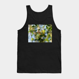 Beauty Everywhere Tank Top